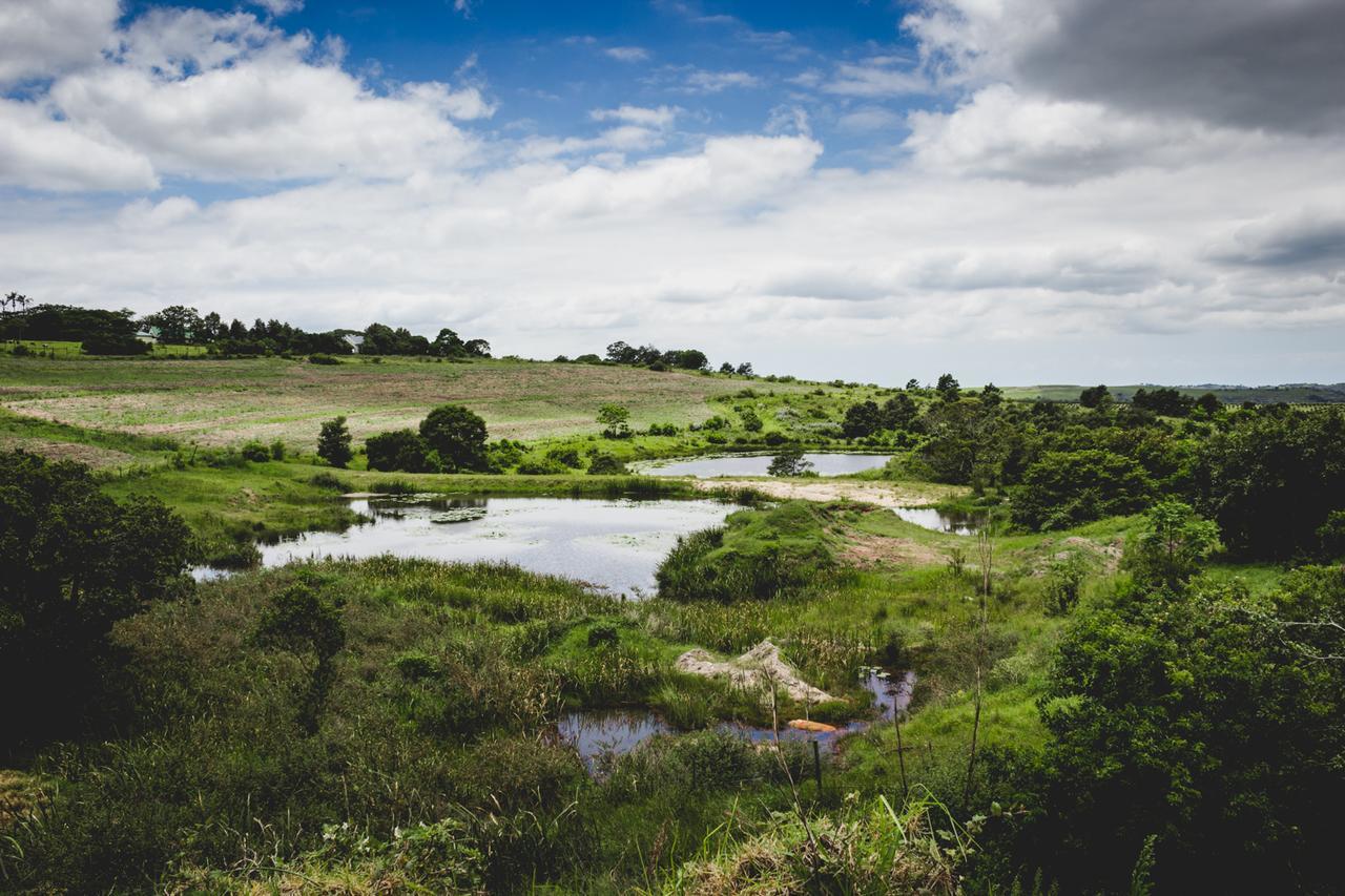 Отель Oribi Gorge Guest Farm Glendale Экстерьер фото