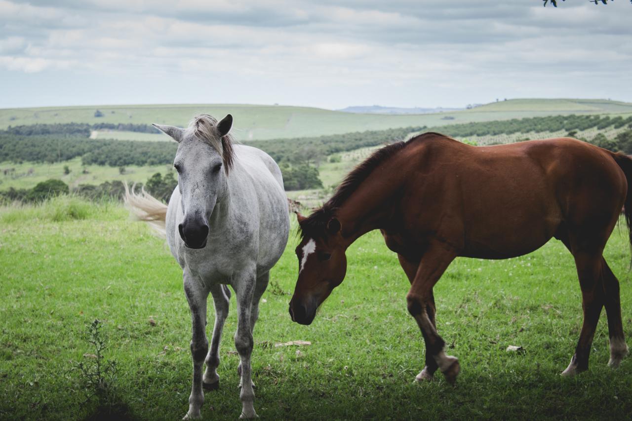 Отель Oribi Gorge Guest Farm Glendale Экстерьер фото